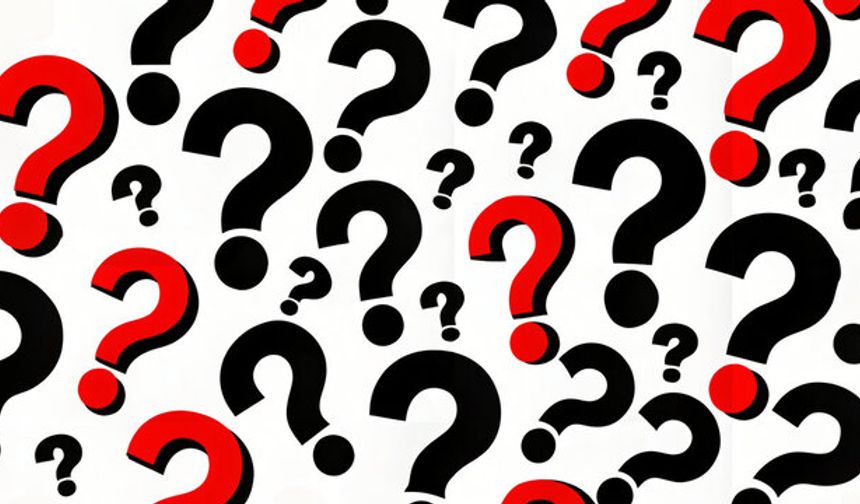 Popülasyon ne demek? TDK anlamı nedir?