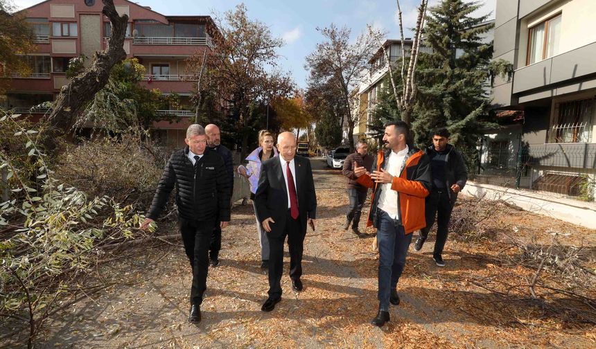 Yenimahalle’de Ağaçlardan Geri Dönüşüm