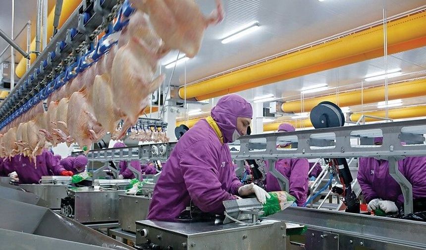 Beyaz ette fiyat soruşturması: 13 firmaya kayyım