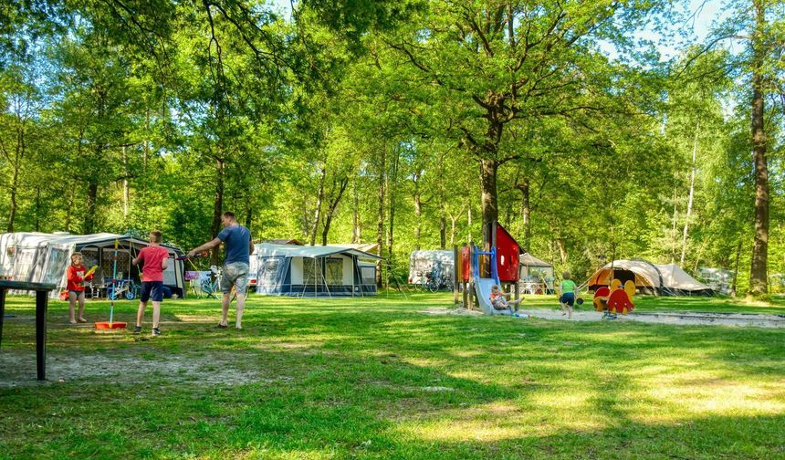 Ankara’da Doğayla İç İçe Olacağınız En Güzel 10 Piknik Alanı