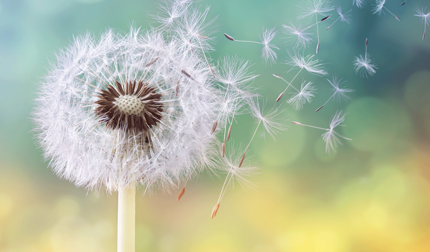 Mevsim geçişinde çocuklarda viral enfeksiyon uyarısı