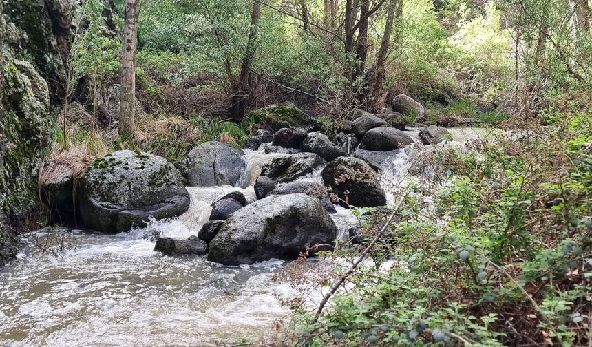Doğanın kalbinde huzur arayanlara: Kızılcahamam Kral Havuzu