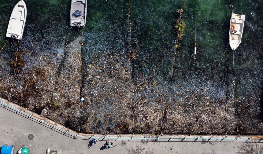 İstanbul Boğazı’nda deniz kirliliği zirveye çıktı