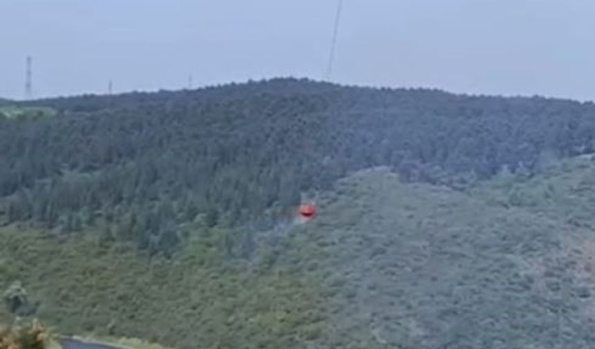 Sultangazi'deki orman yangını korkuttu!