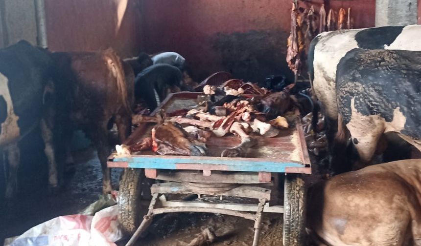 Adana’da 2.5 ton at eti ele geçirildi!