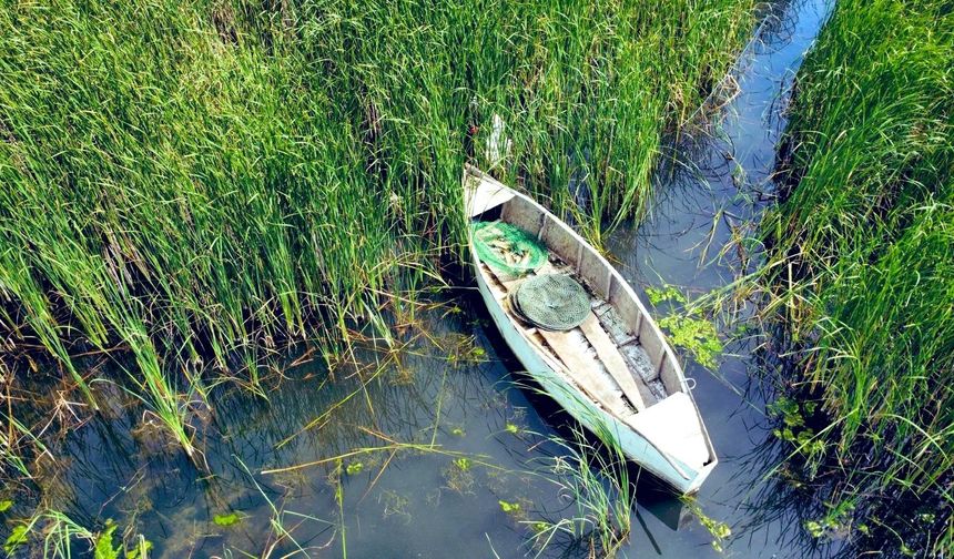 Bursa’da yasadışı avcılara ağır ceza!