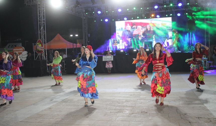53. Nysa Çilek Festivali, Aydın'da başladı