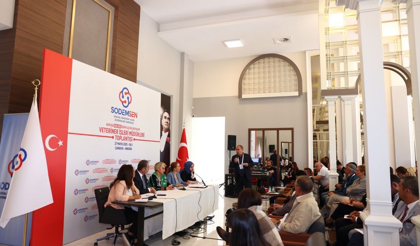Çankaya’da sokak hayvanları için yol haritası belirlendi