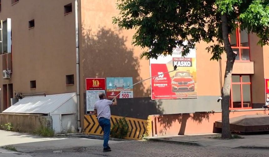 Erzincan’da yavru karga ölümden döndü!