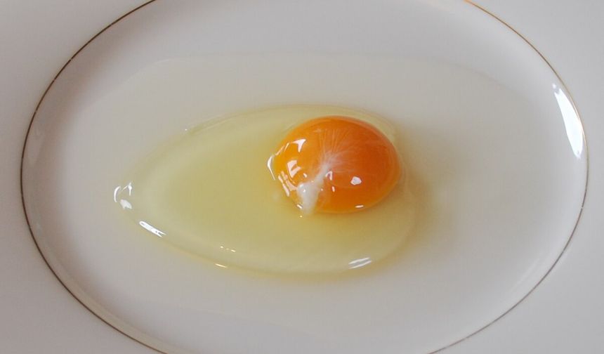 Yumurtanın etrafındaki beyaz kısım nedir? Yenir mi?