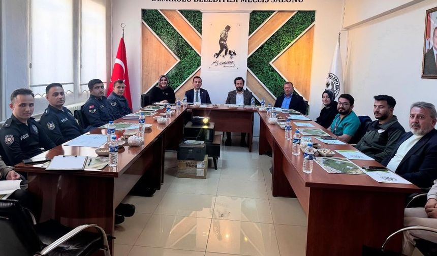 Bayburt'ta 'Kuşburnu Çiçeği Festivali' başlıyor!