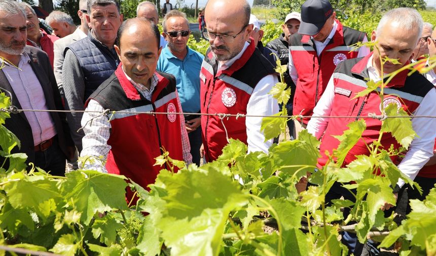 Don felaketinden etkilenen üreticilere destek sürüyor!