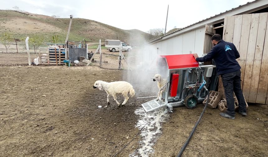 Şereflikoçhisar’da ücretsiz parazit ilaçlaması
