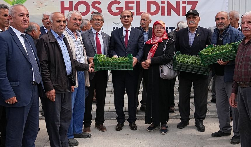 Yeşilyurt Belediyesi’nden çiftçilere 250 bin sebze fidesi