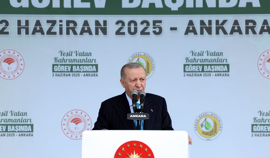 Erdoğan: Yangınla mücadelede dünyada ikinci sıradayız