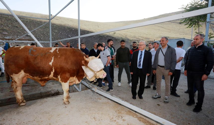 Yenimahalle’de kurban kesimi tam kapasiteyle sürüyor