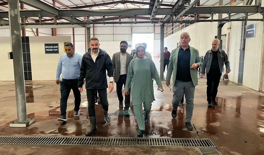 Esenyurt’ta 38 dönümlük kurban pazarı kuruldu!