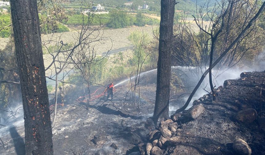 Hatay'ın Arsuz ilçesinde orman yangını kontrol altına alındı!