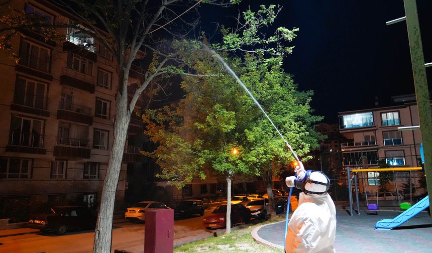 Keçiören’de sineklere karşı ilaçlama başladı