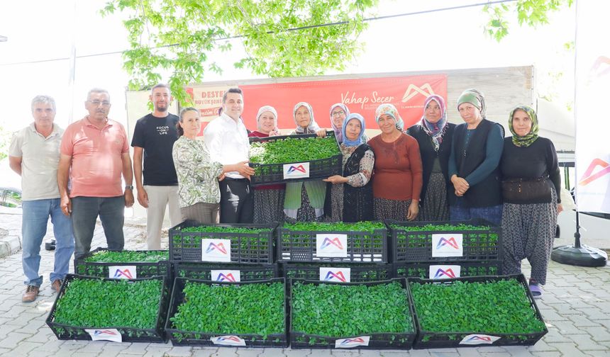 Mersin’de çiftçilere domates fidesi desteği: 105 bin fide dağıtıldı!