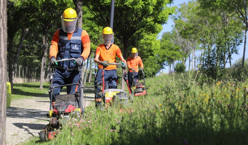 Çankaya parklarında çimler biçiliyor