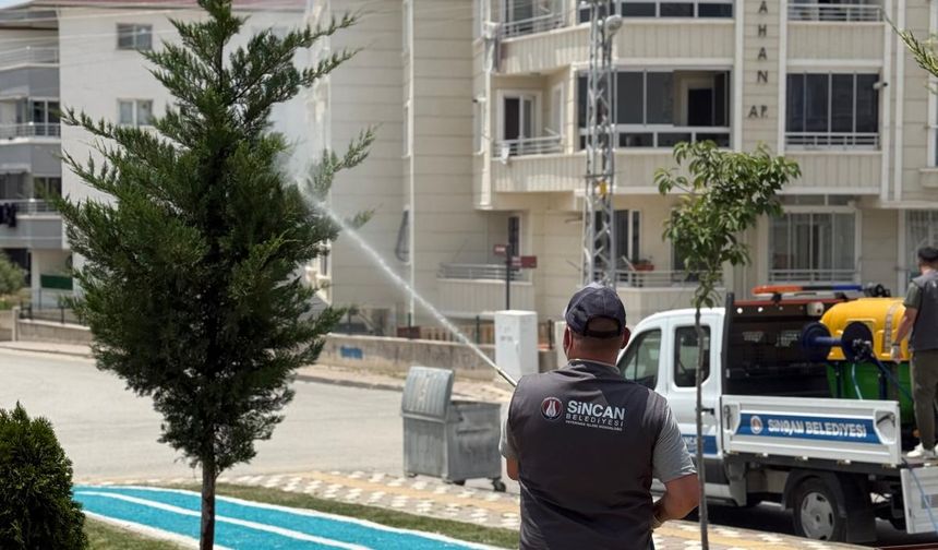 Sincan Belediyesi'nden kene ve sinek önlemi