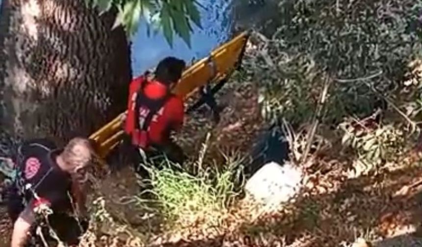 Dengesini kaybeden adam 15 metreden düştü!