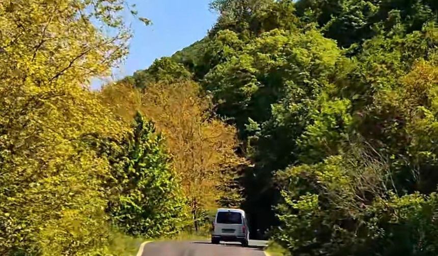 Tekirdağ'da ormanlar, yangınlara karşı koruma altına alındı!