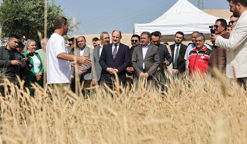 Slow Wheat 2025 Şanlıurfa'da başladı!