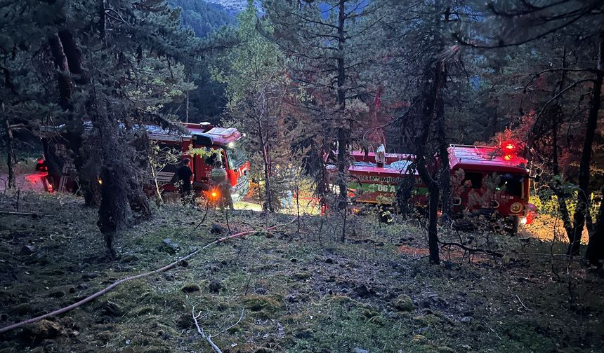 Soğuksu Milli Parkı'nda piknikçi yangını