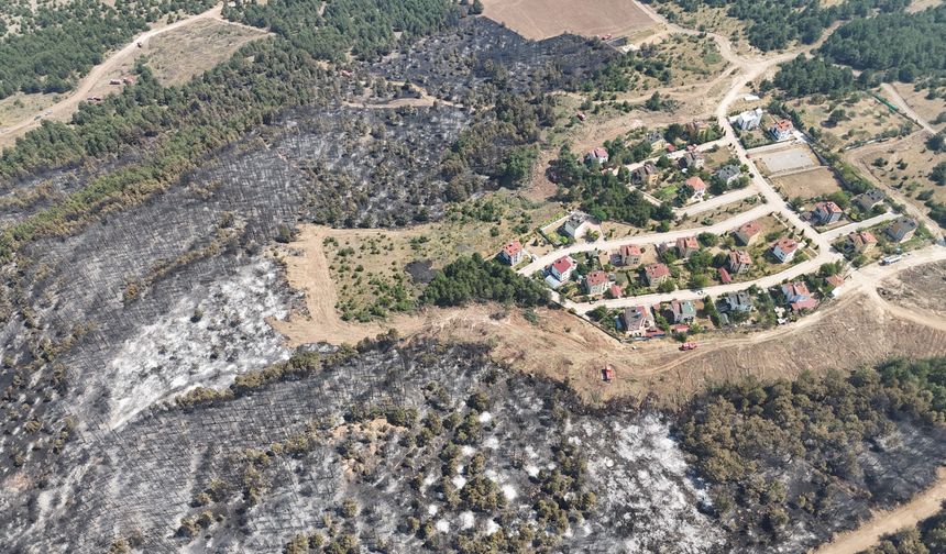 Karabük’te orman yangını büyük tehlike yarattı!