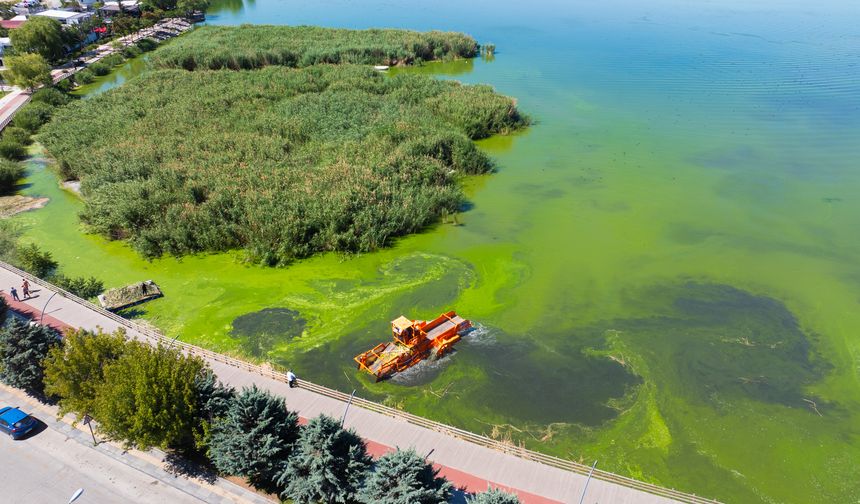 Başkan Odabaşı: Mogan Gölü’nü korumak görevimiz