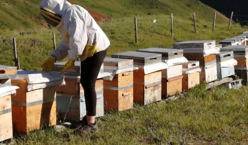 Tunceli'de 2025 yılı bal fiyatları açıklandı!