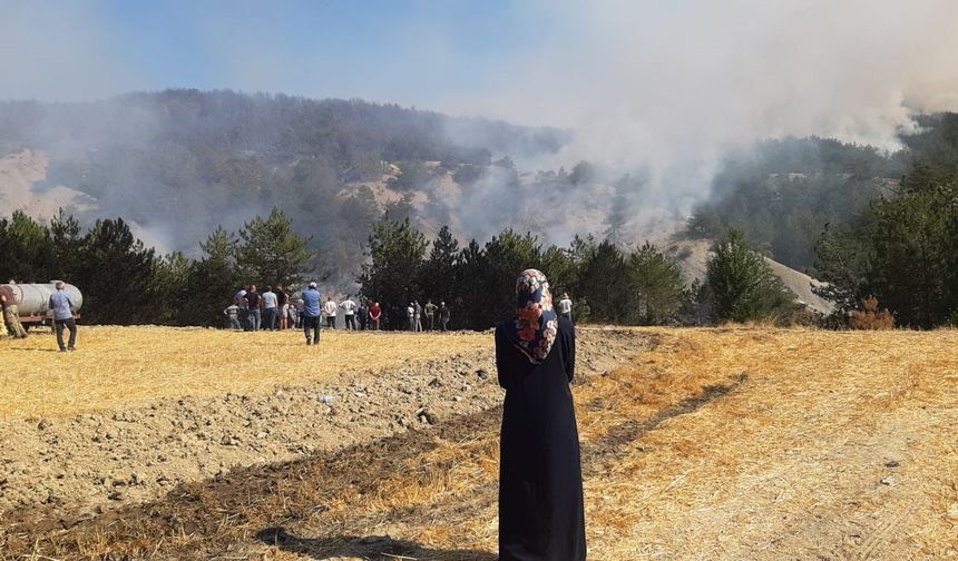 Bolu’daki orman yangınına 5.saatte müdahale devam ediyor