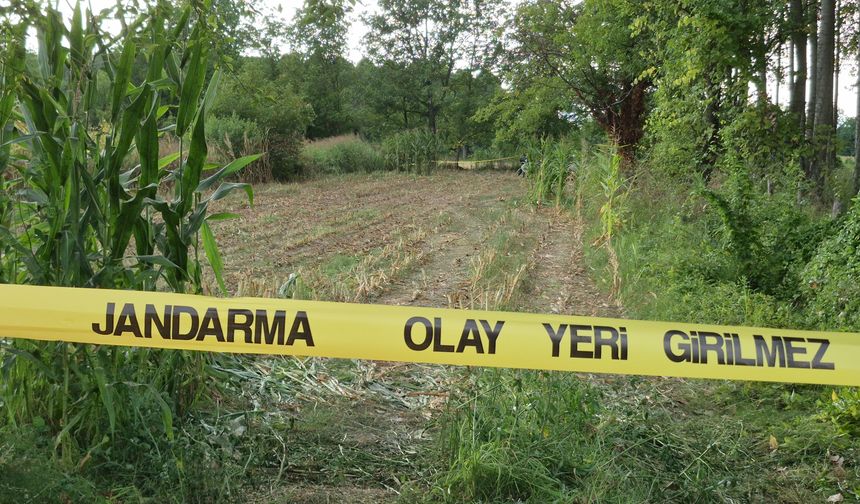 Düzce’de mısır tarlasından insan kemikleri çıktı