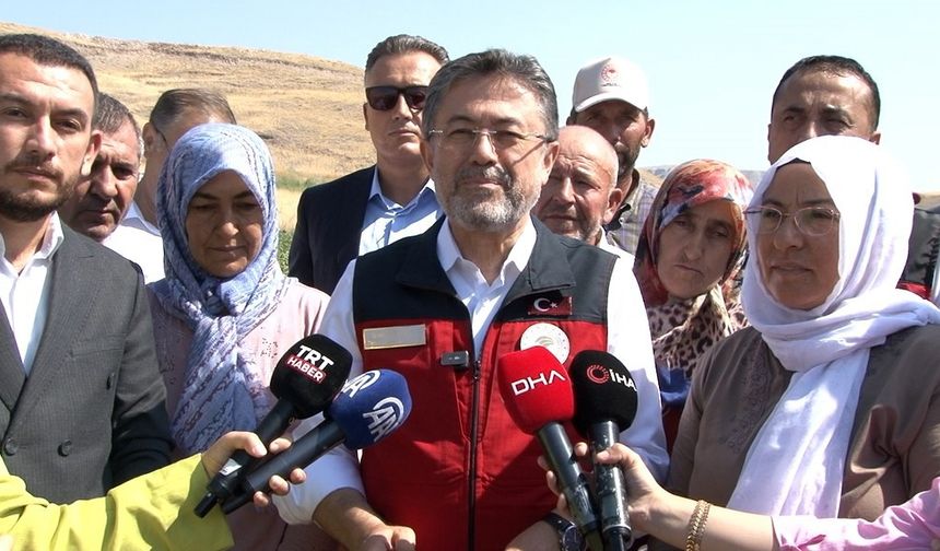 Türkiye, domates üretiminde dünyada 3'üncü sırada