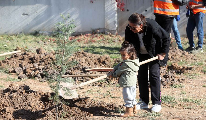Yenimahalle’de 11 Kasım’da ağaçlar toprakla buluştu