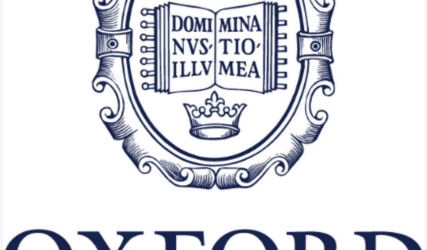 Oxford yılın kelimesini seçti: "Rage bait"