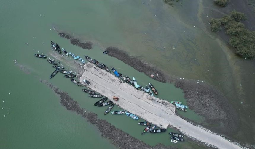 Karacabey'de çeltik ekimi kuraklık sebebiyle yasaklandı