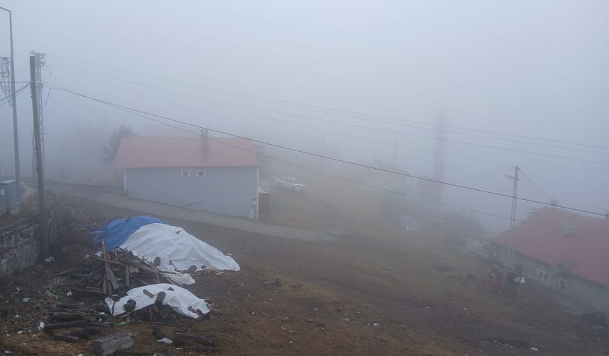 Posof'ta sürücülere sis ve buzlanma uyarısı