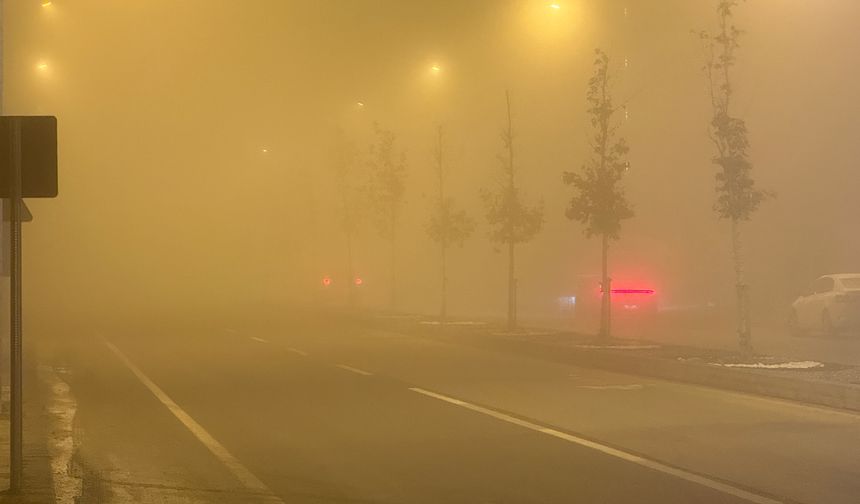 Sivas’ta yoğun sis: Görüş mesafesi 10 metreye indi