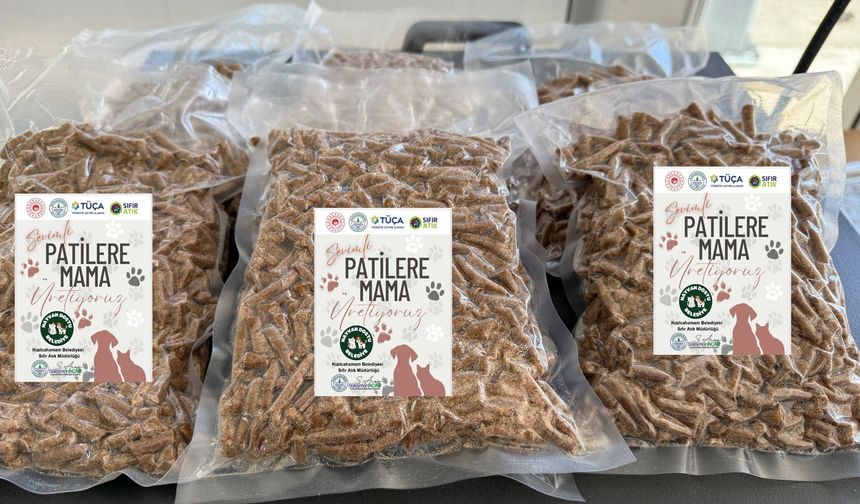 Kızılcahamam'da yemek atıkları hayvanlar için umut oluyor