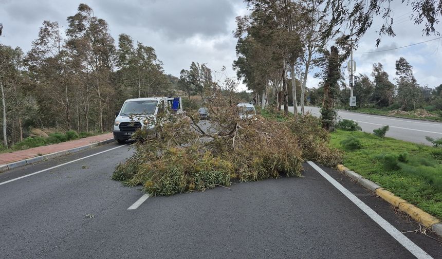 Denizli’de fırtına alarmı