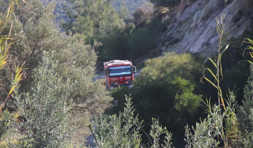 Antalya Serik'te orman yangını