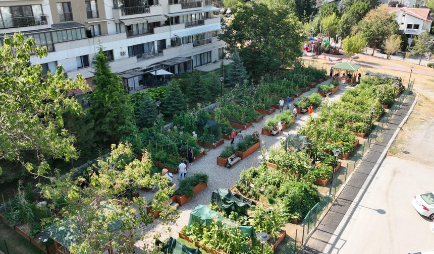 Çankaya’da Kent Bostanlarında ilkbahar eğitimleri başlıyor