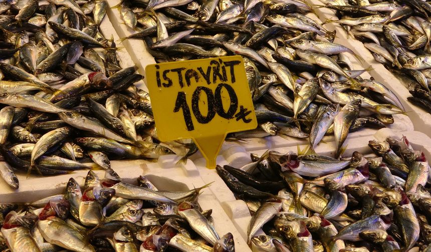 Karadeniz’de fırtına balıkçıları vurdu