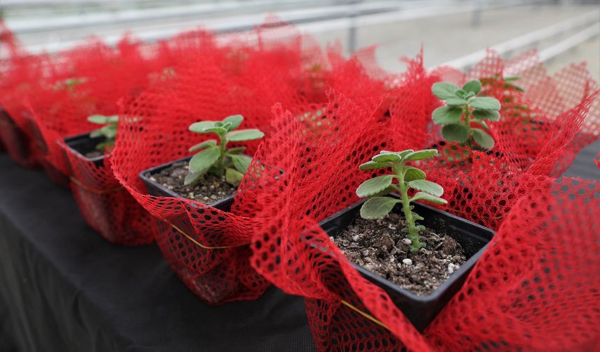 Keçiören’de bilinçli tarım için eğitim verildi