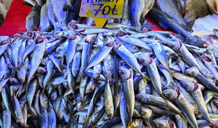 Ramazan’da balık satışları artışa geçti