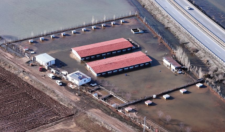 Sivas’ta Anadolu Aslanları sular altında kaldı