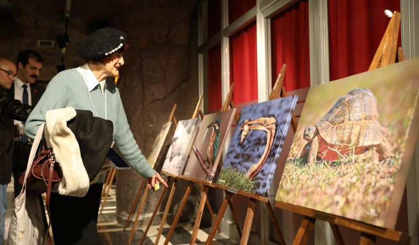 Samsun’da Kızılırmak Deltası sergisi TBMM yolunda